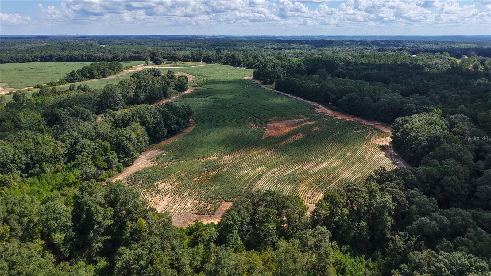 31027 Us Highway 331 Property Photo 15