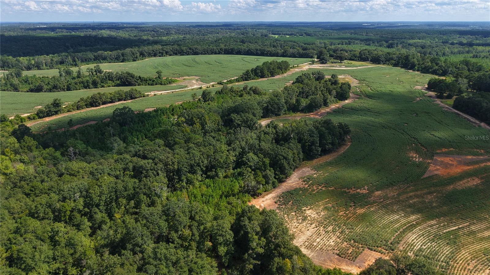 31027 Us Highway 331 Property Photo 16