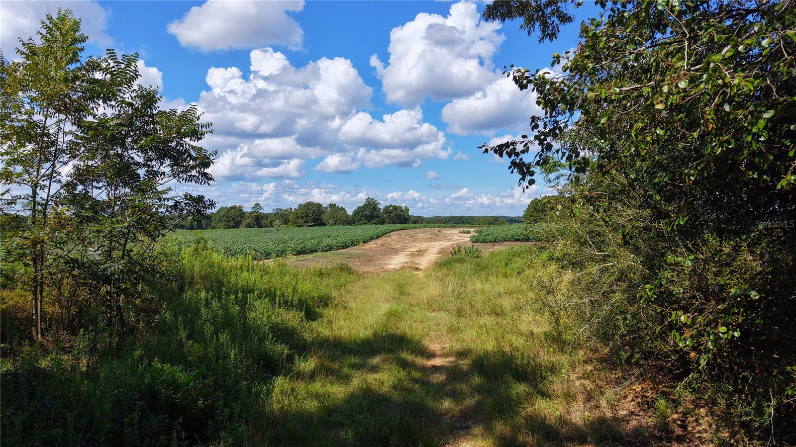 31027 Us Highway 331 Property Photo 19