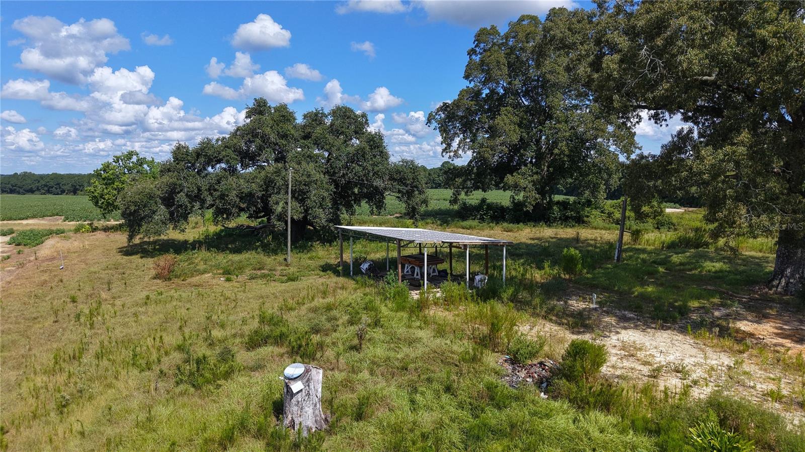 31027 Us Highway 331 Property Photo 21