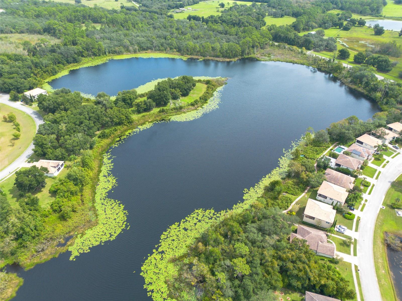 3613 Azurite Ct Property Photo 19