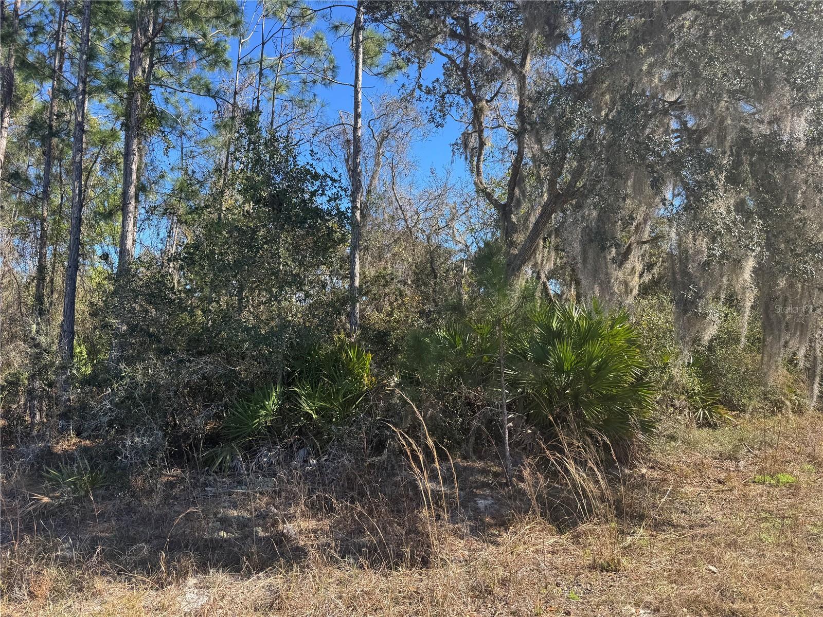 Grace Ave Property Photo 4