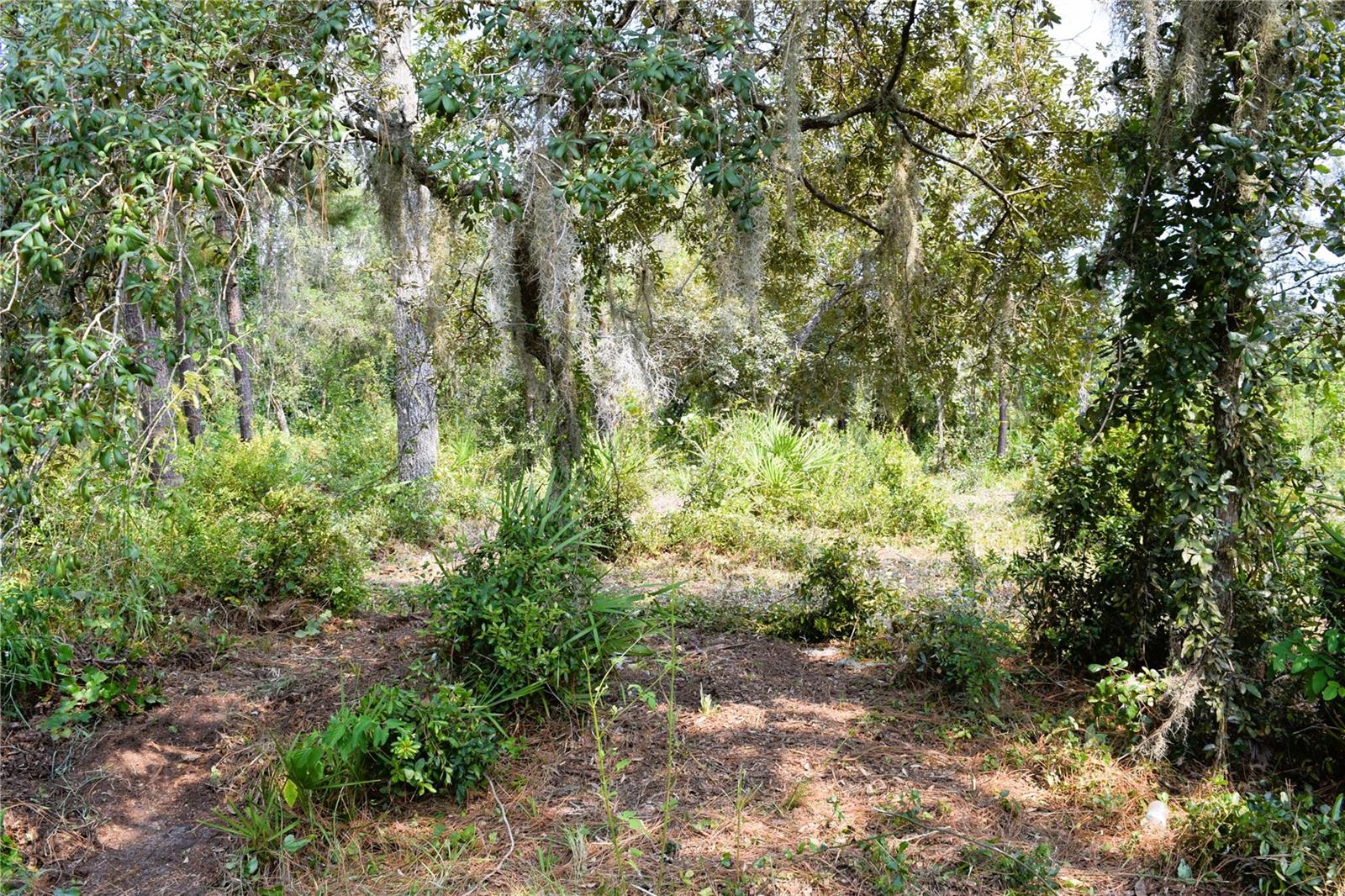 625 Lake Butler Ave Property Photo 4