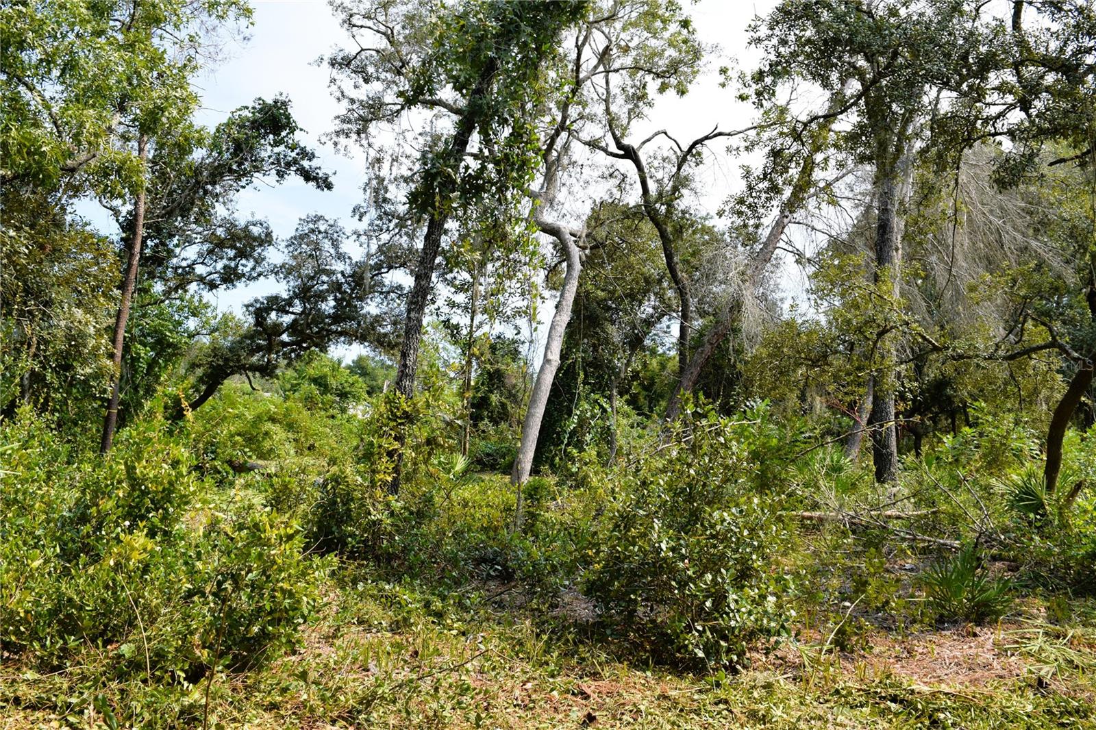 625 Lake Butler Ave Property Photo 5