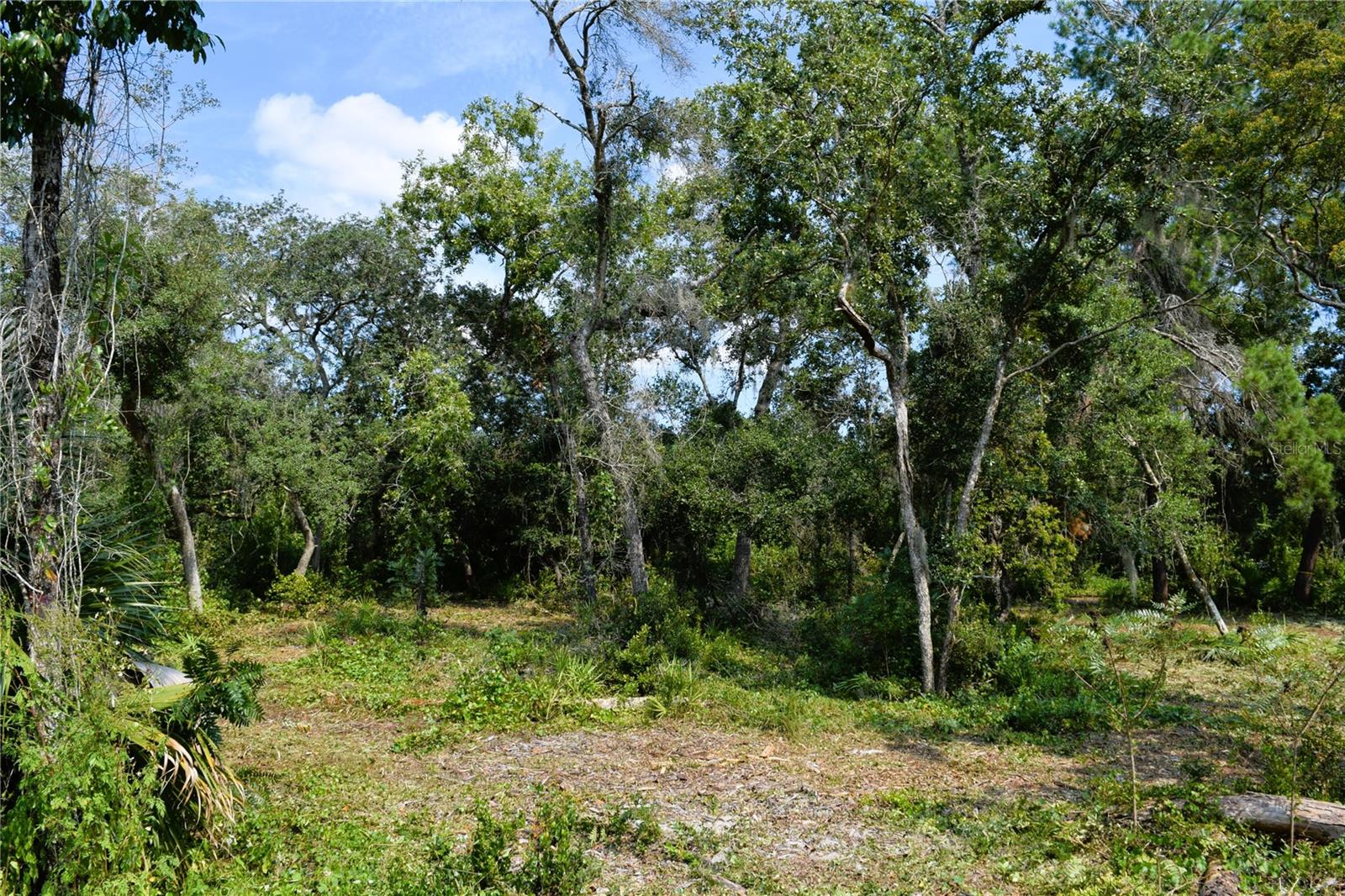 625 Lake Butler Ave Property Photo 12
