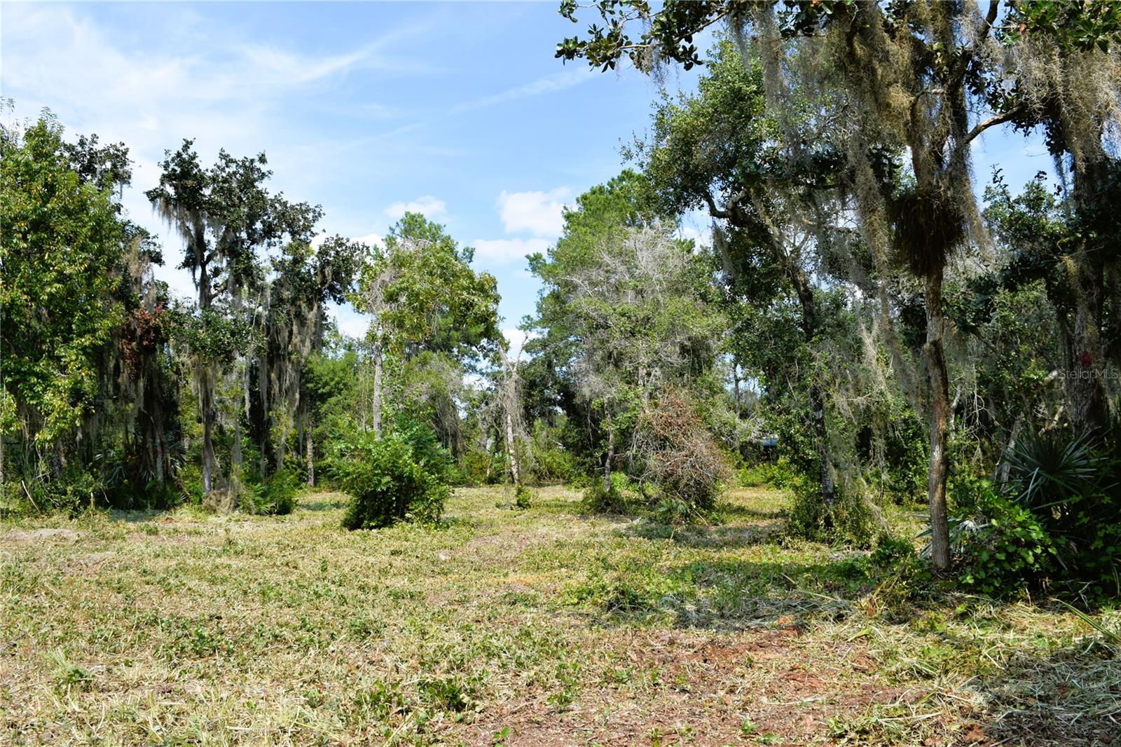 625 Lake Butler Ave Property Photo 14