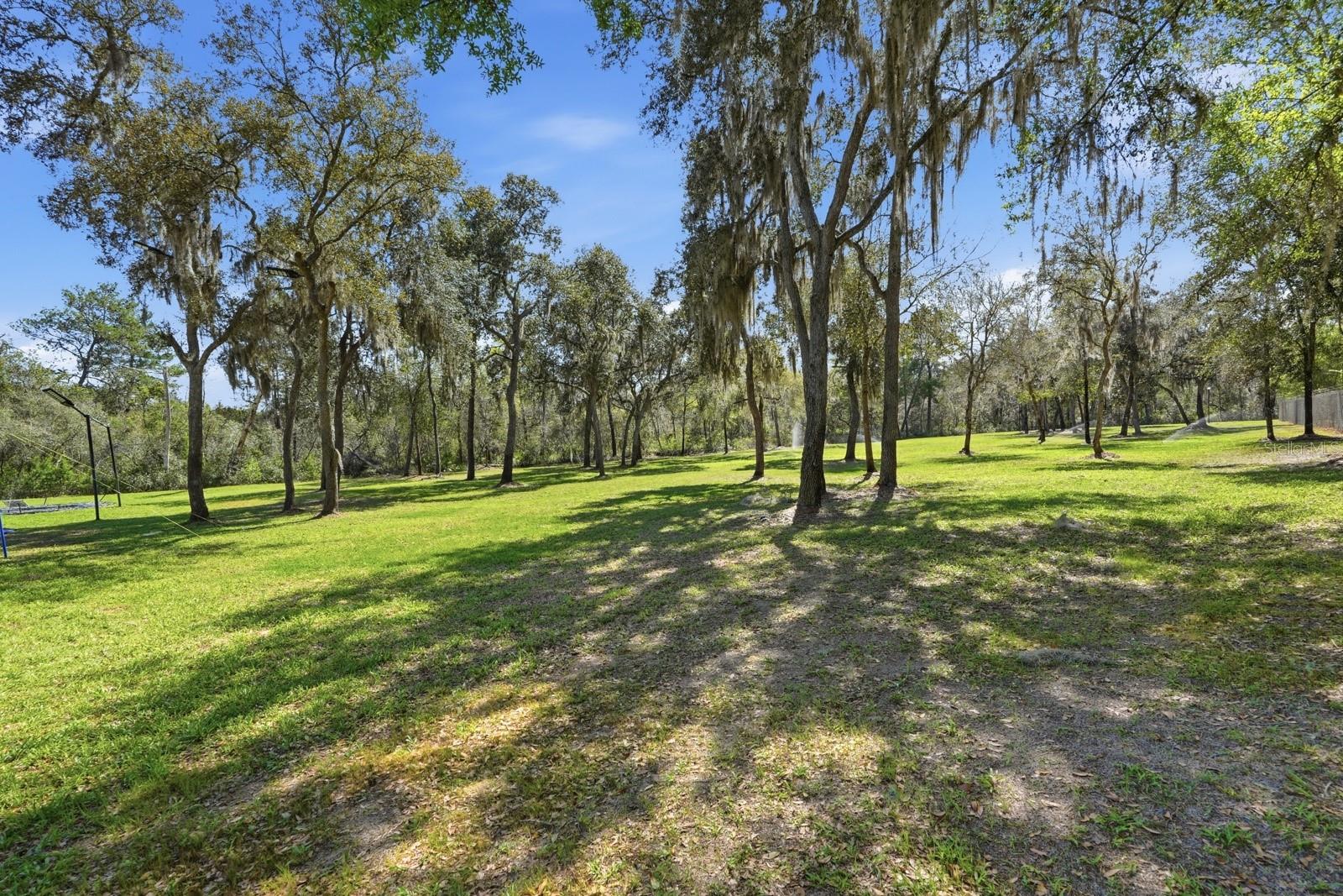5444 Us Highway 17 Property Photo 94