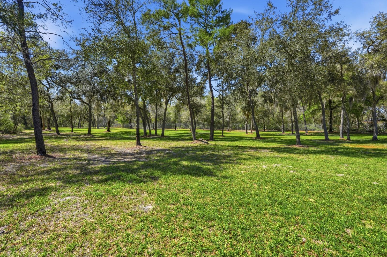 5444 Us Highway 17 Property Photo 95