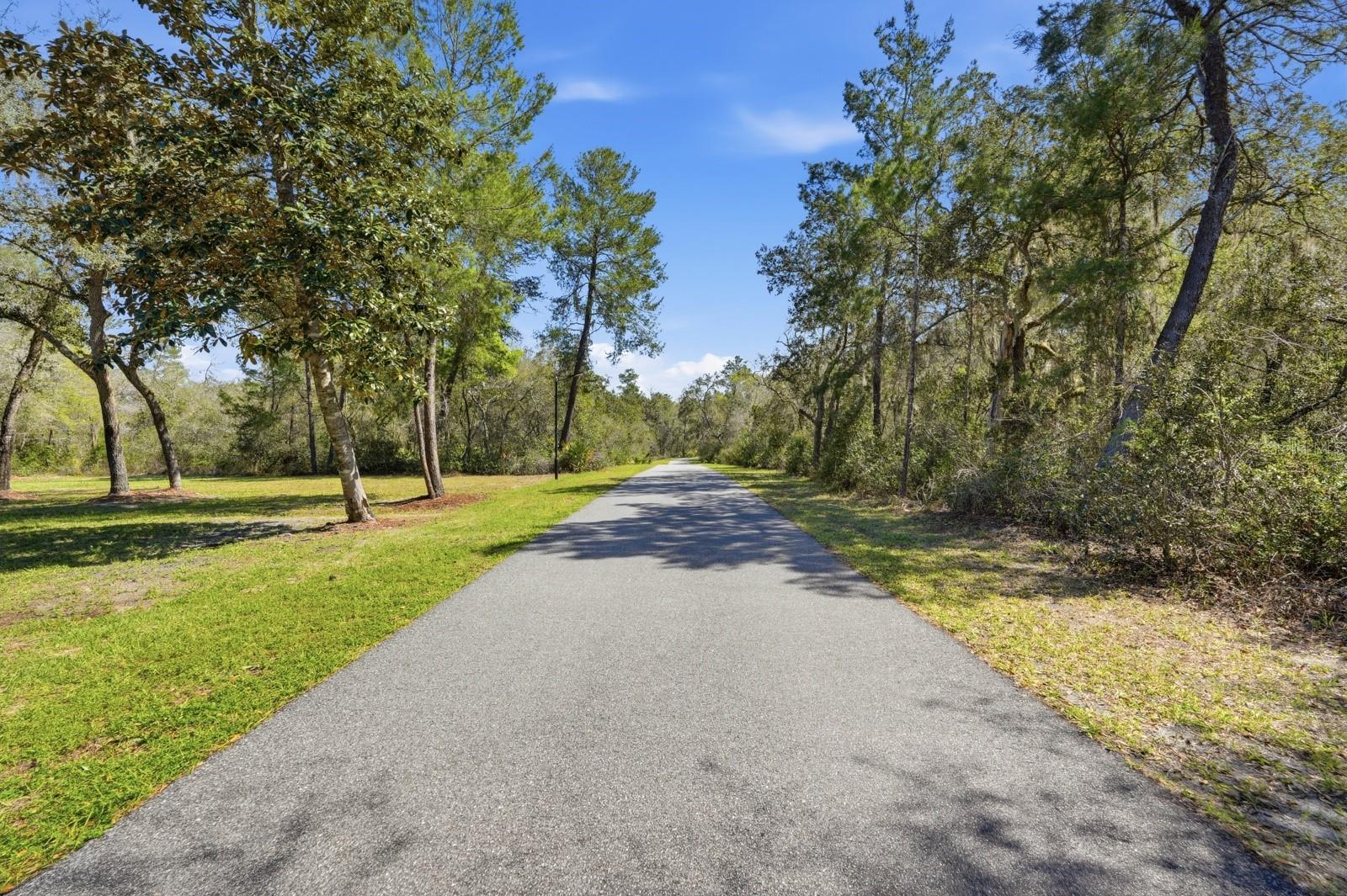 5444 Us Highway 17 Property Photo 98