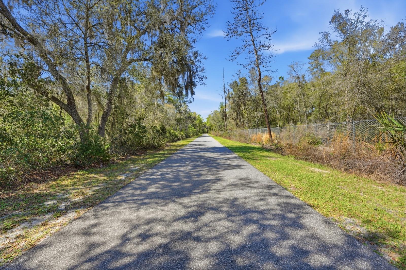 5444 Us Highway 17 Property Photo 99