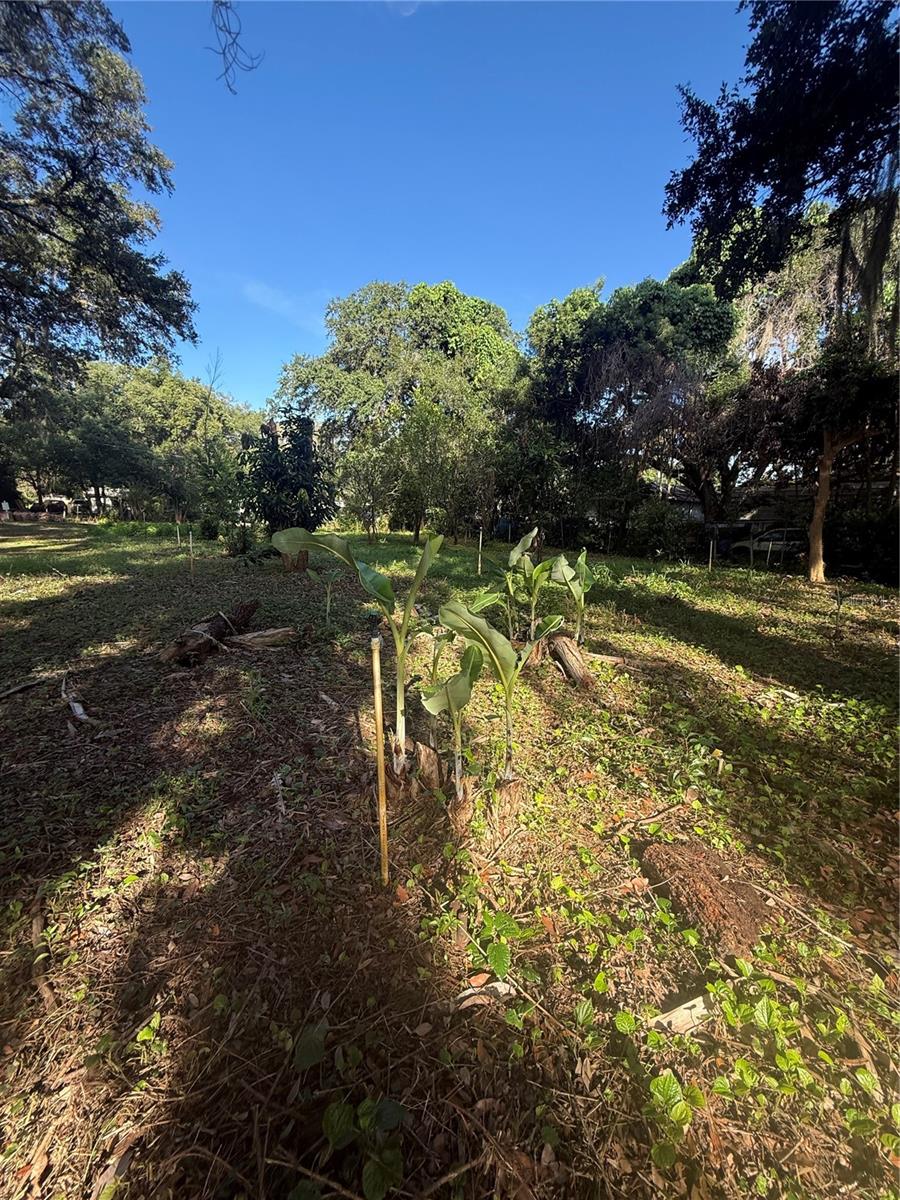 Orange Ave Property Photo 1