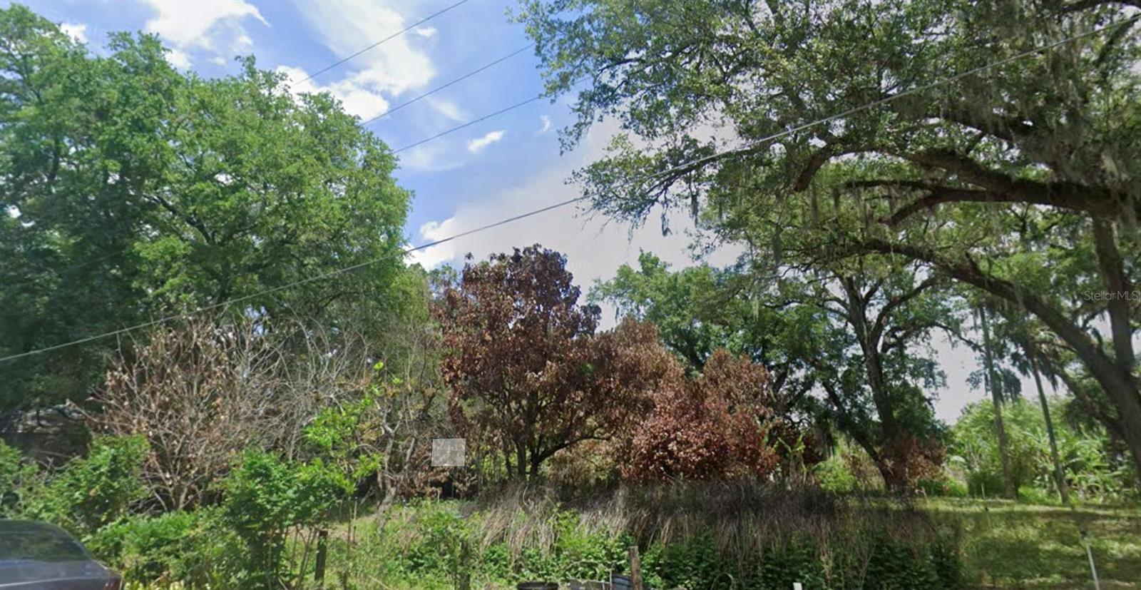 Orange Ave Property Photo 3