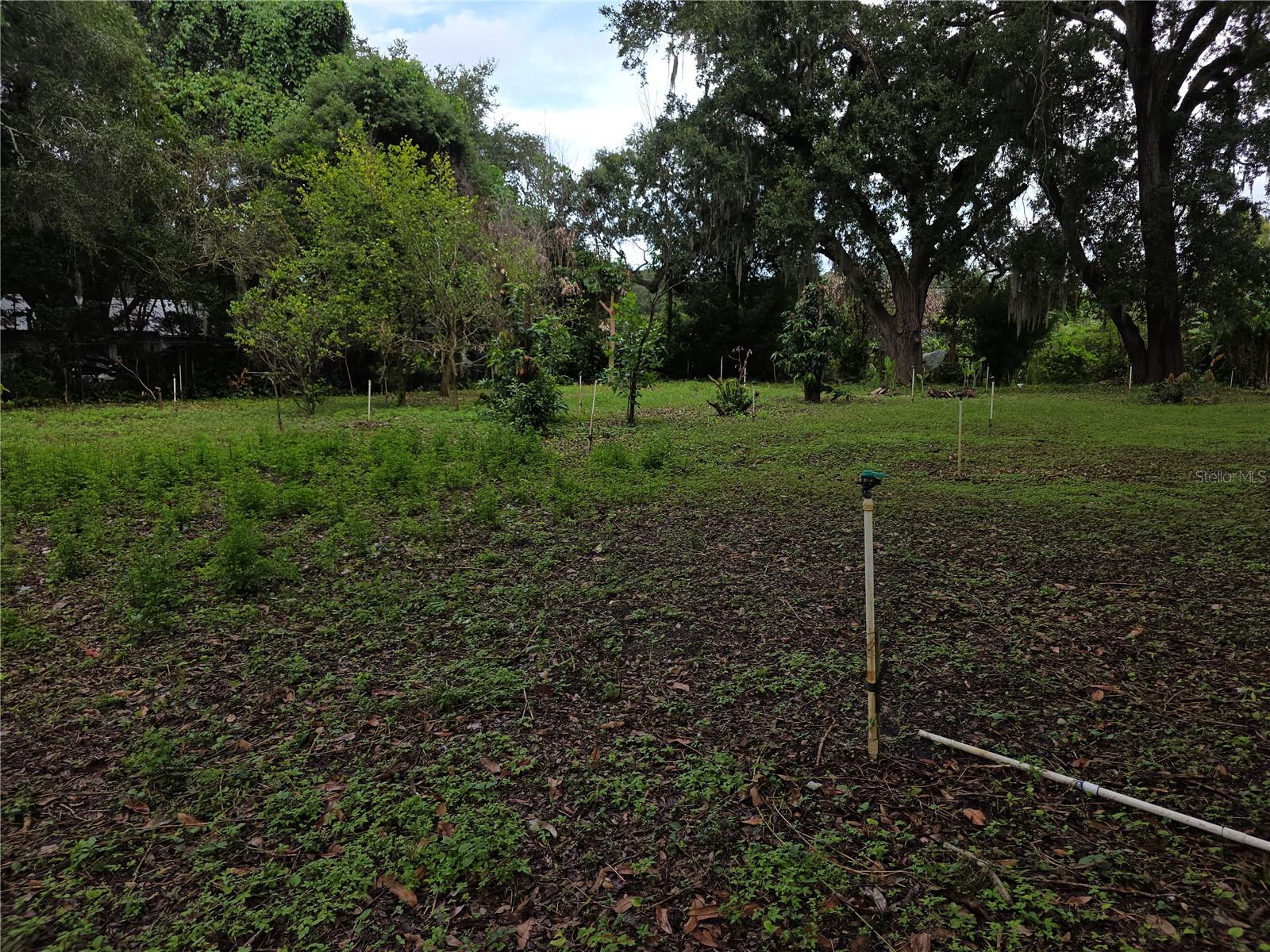 Orange Ave Property Photo 5