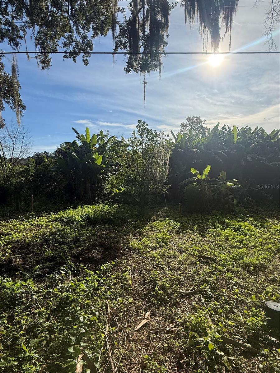 Orange Ave Property Photo 6