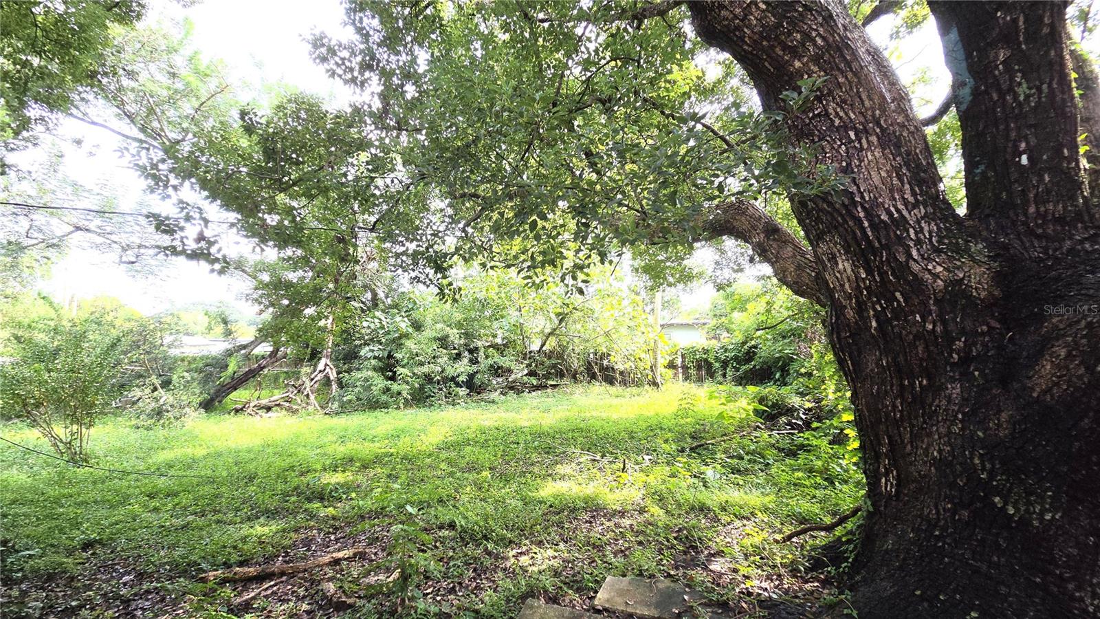 110 Club Rd Property Photo 15
