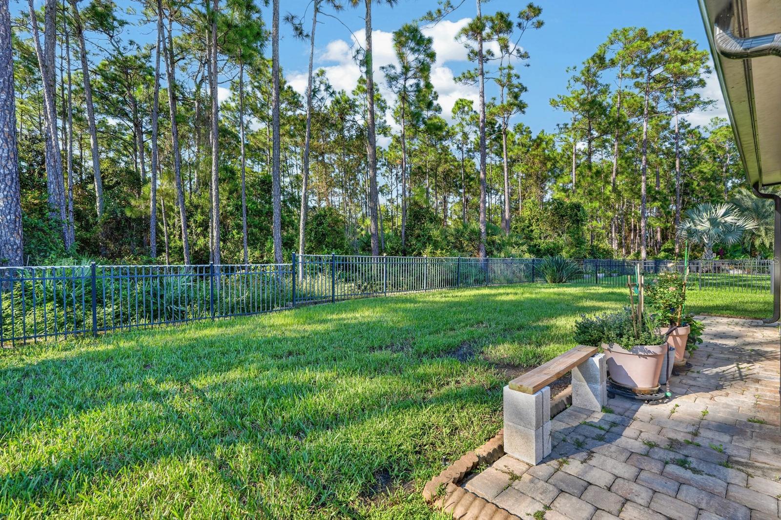 1823 Palmetto Scrub Cir Property Photo 35