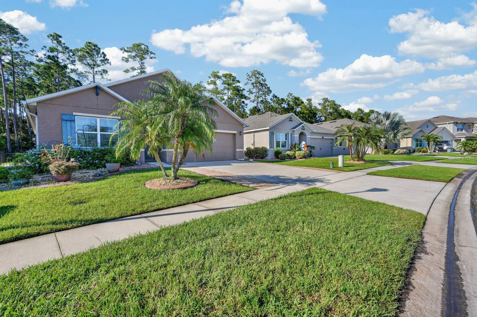 1823 Palmetto Scrub Cir Property Photo 44