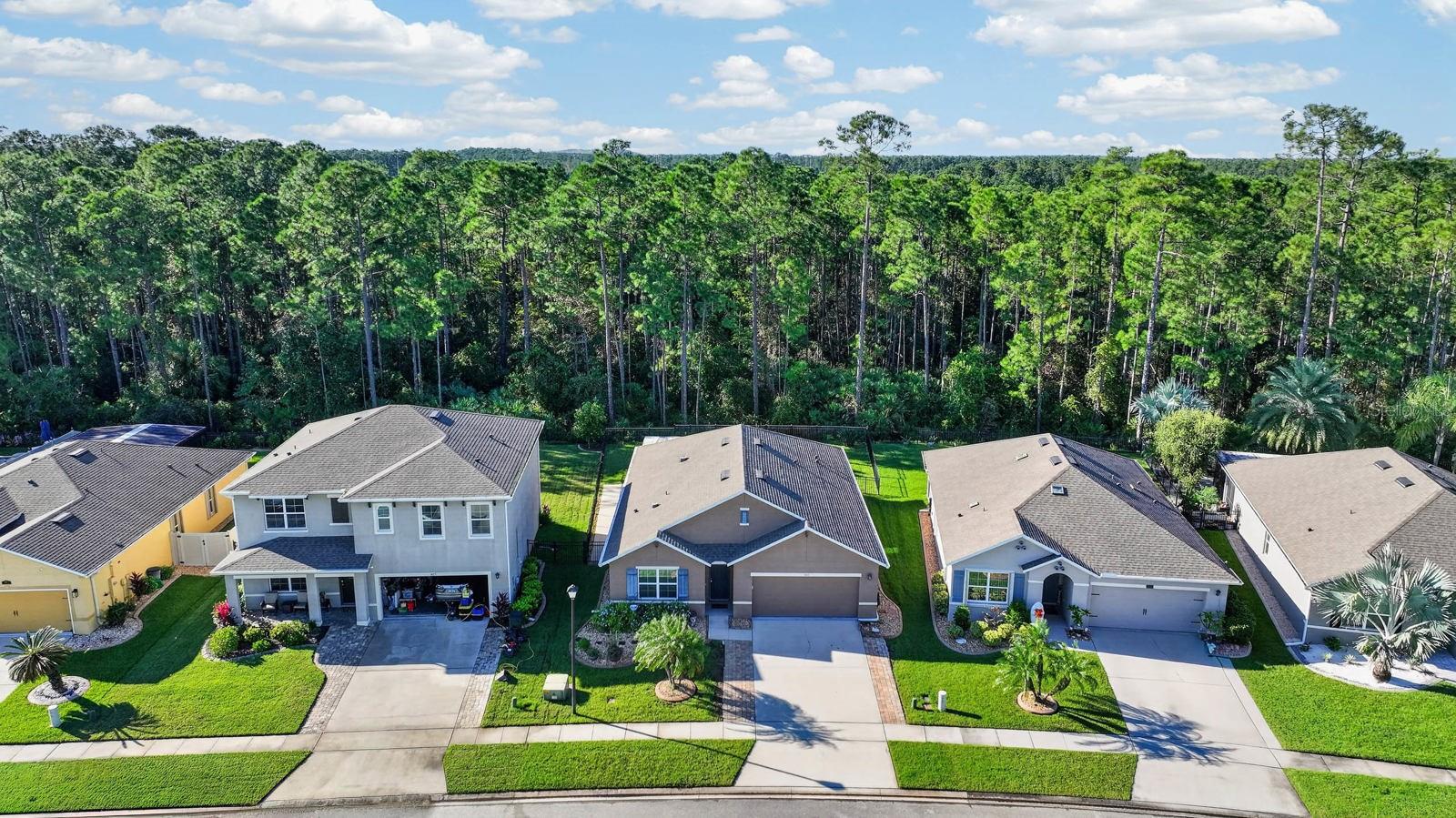 1823 Palmetto Scrub Cir Property Photo 48