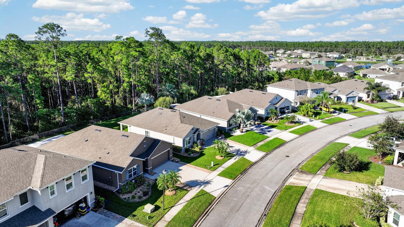 1823 Palmetto Scrub Cir Property Photo 50