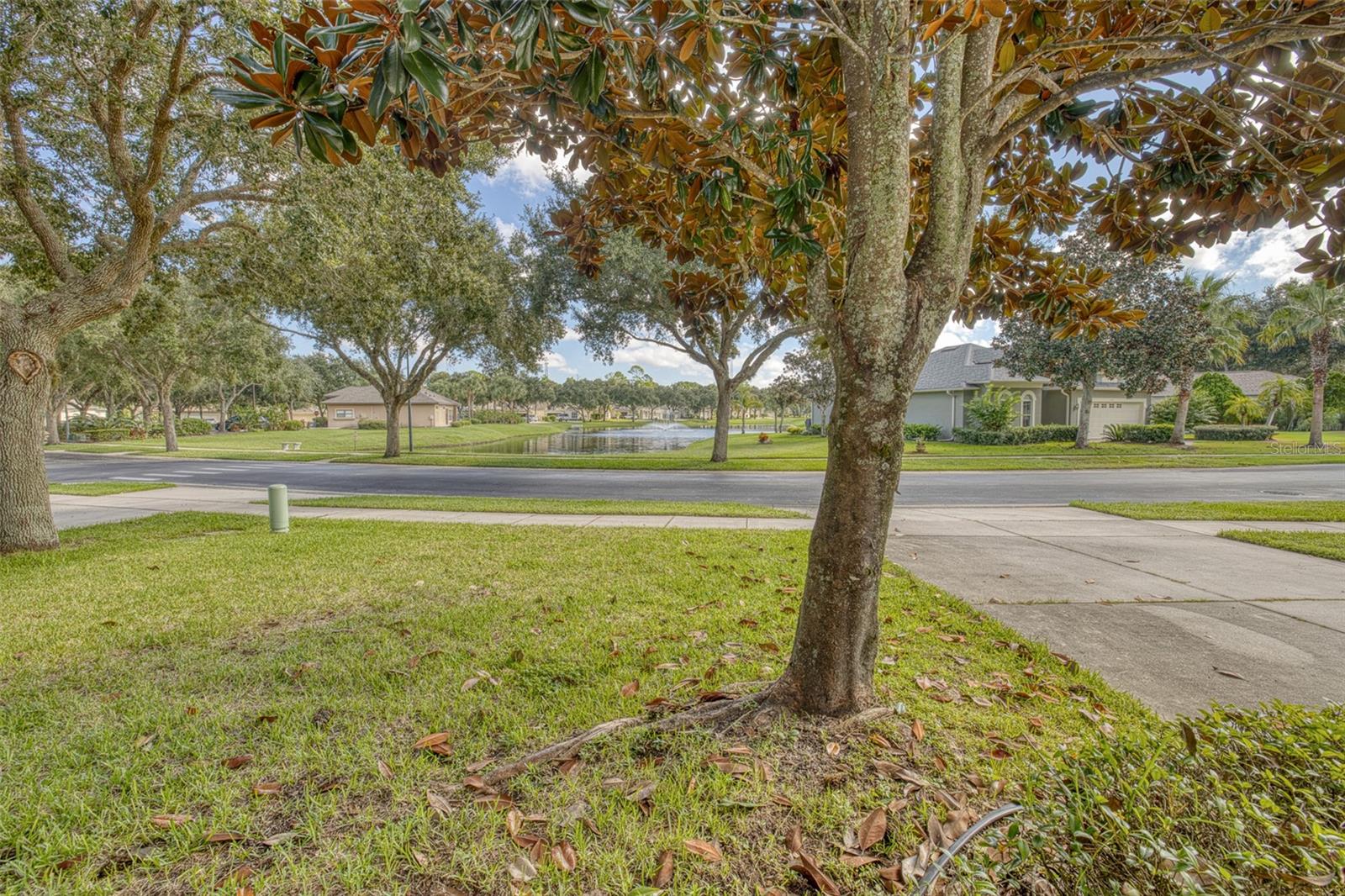 850 Wingate Trl Property Photo 32