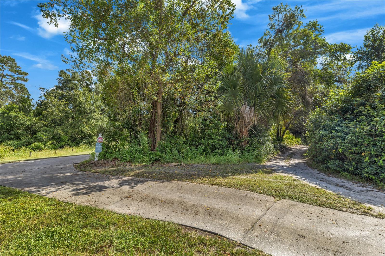 313 Hampton Hills Ct Property Photo 42