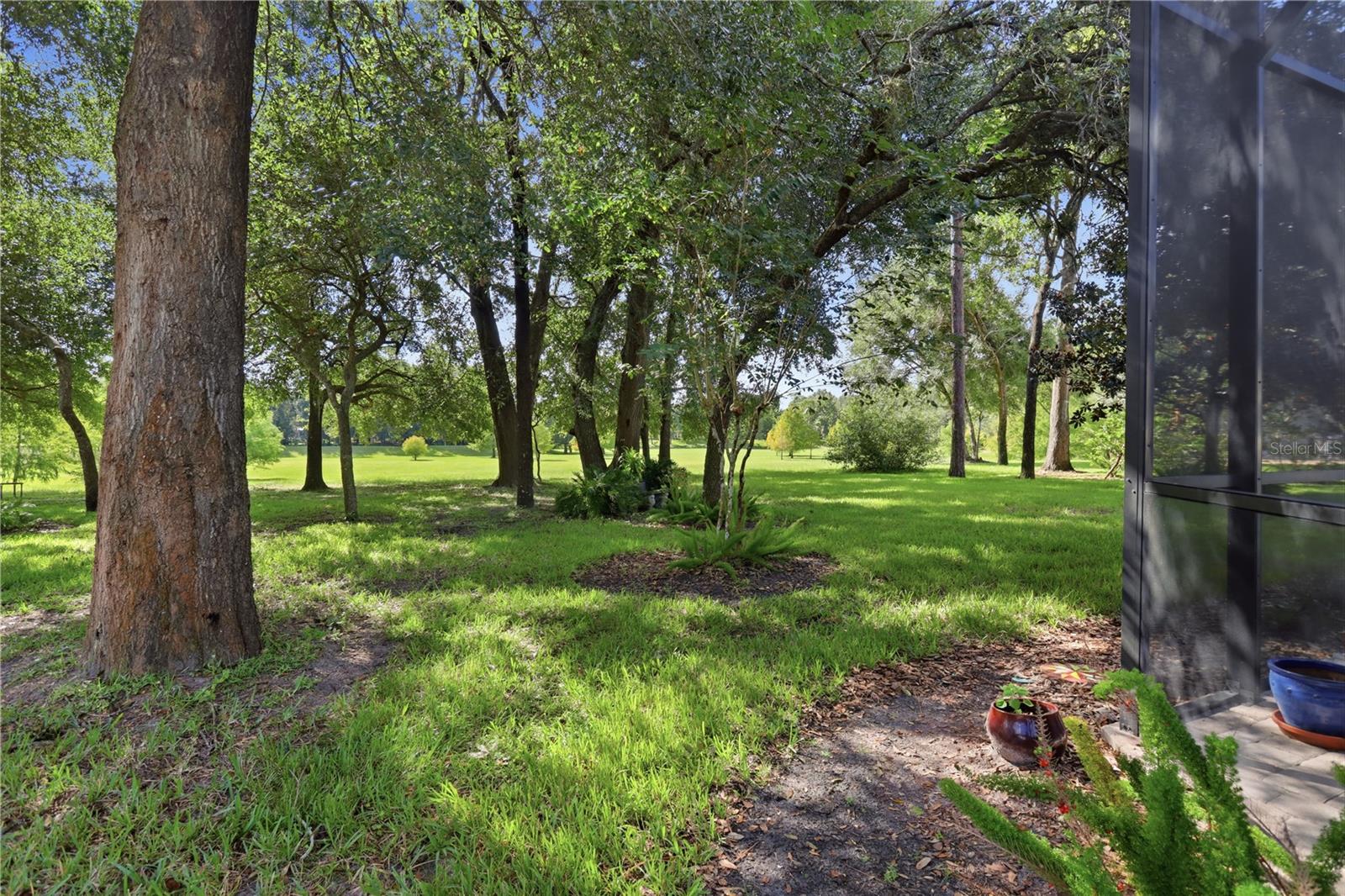 108 Wisteria Ln Property Photo 45