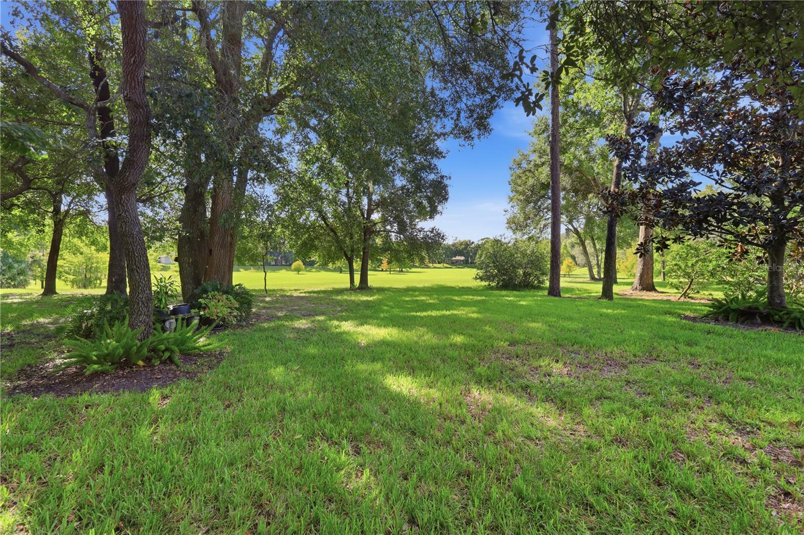 108 Wisteria Ln Property Photo 46