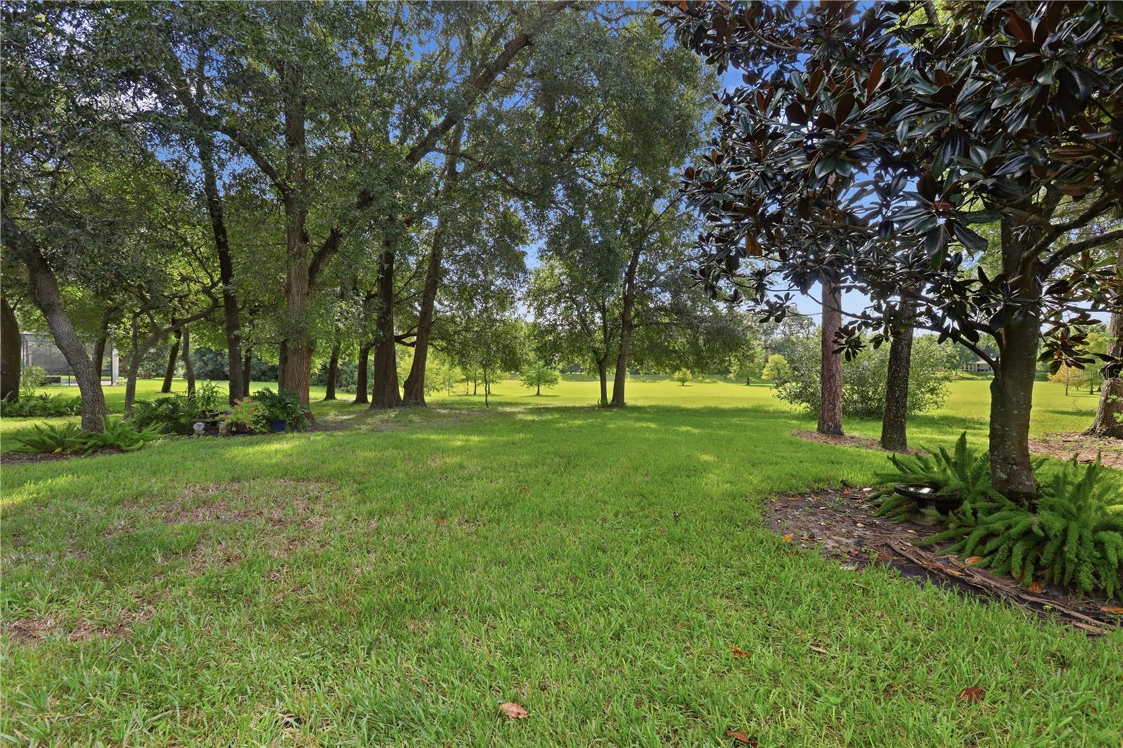 108 Wisteria Ln Property Photo 50