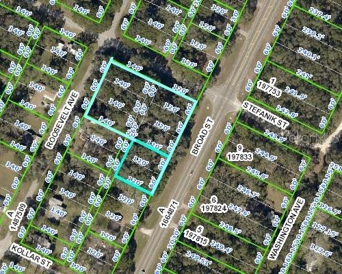 0 BROAD ST Property Photo 1