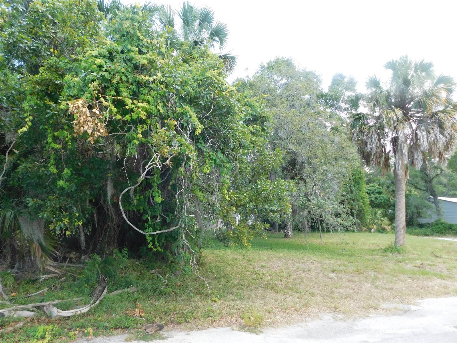 Lot 143 & 145 Inwood Dr Property Photo 4