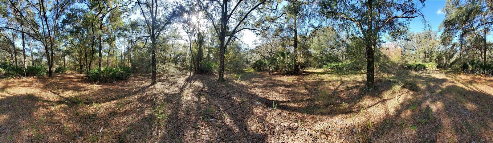 8738 Lindy Ln Property Photo 3