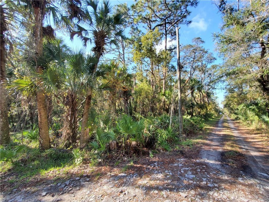 8738 Lindy Ln Property Photo 8