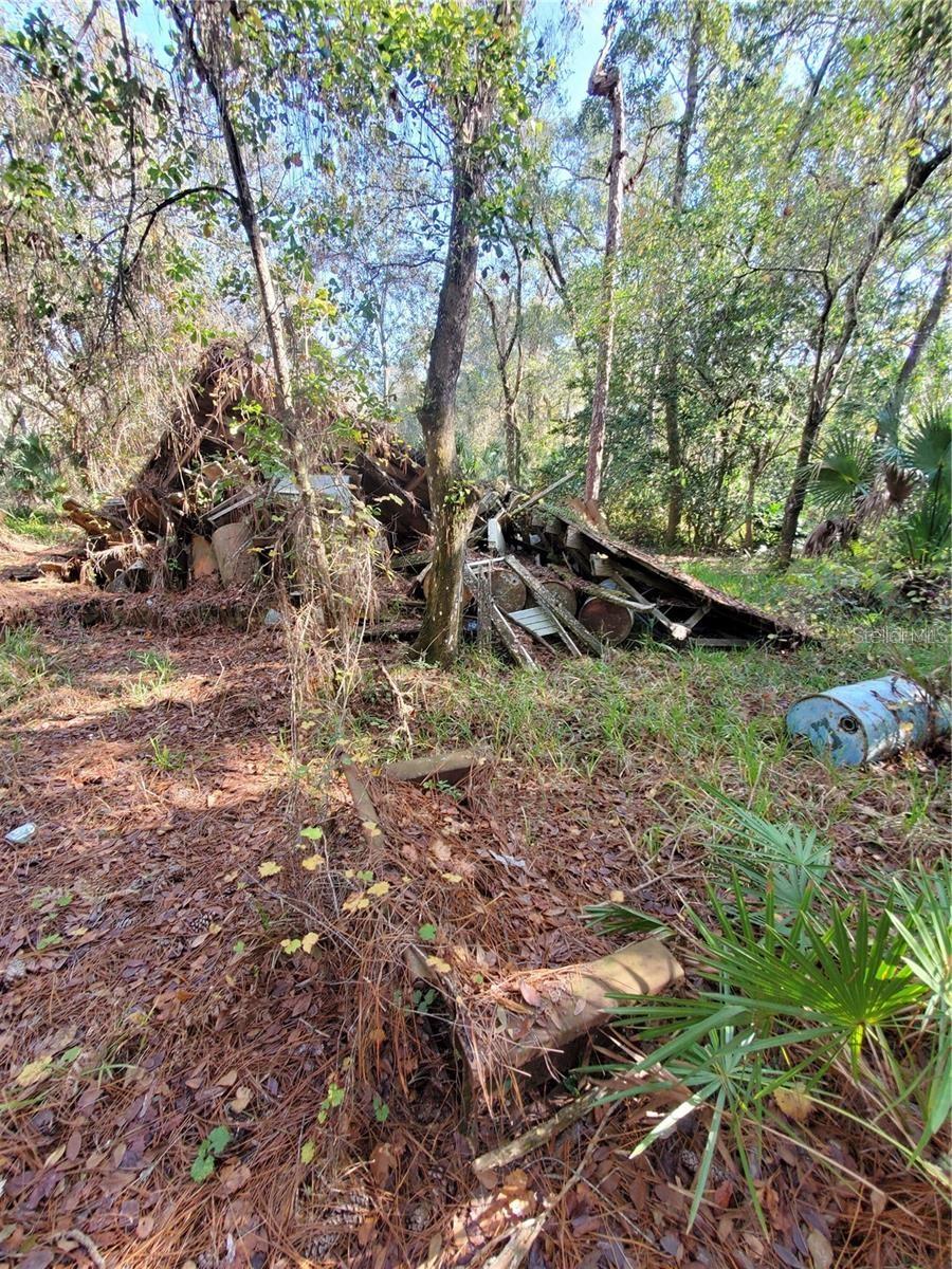 8738 Lindy Ln Property Photo 10