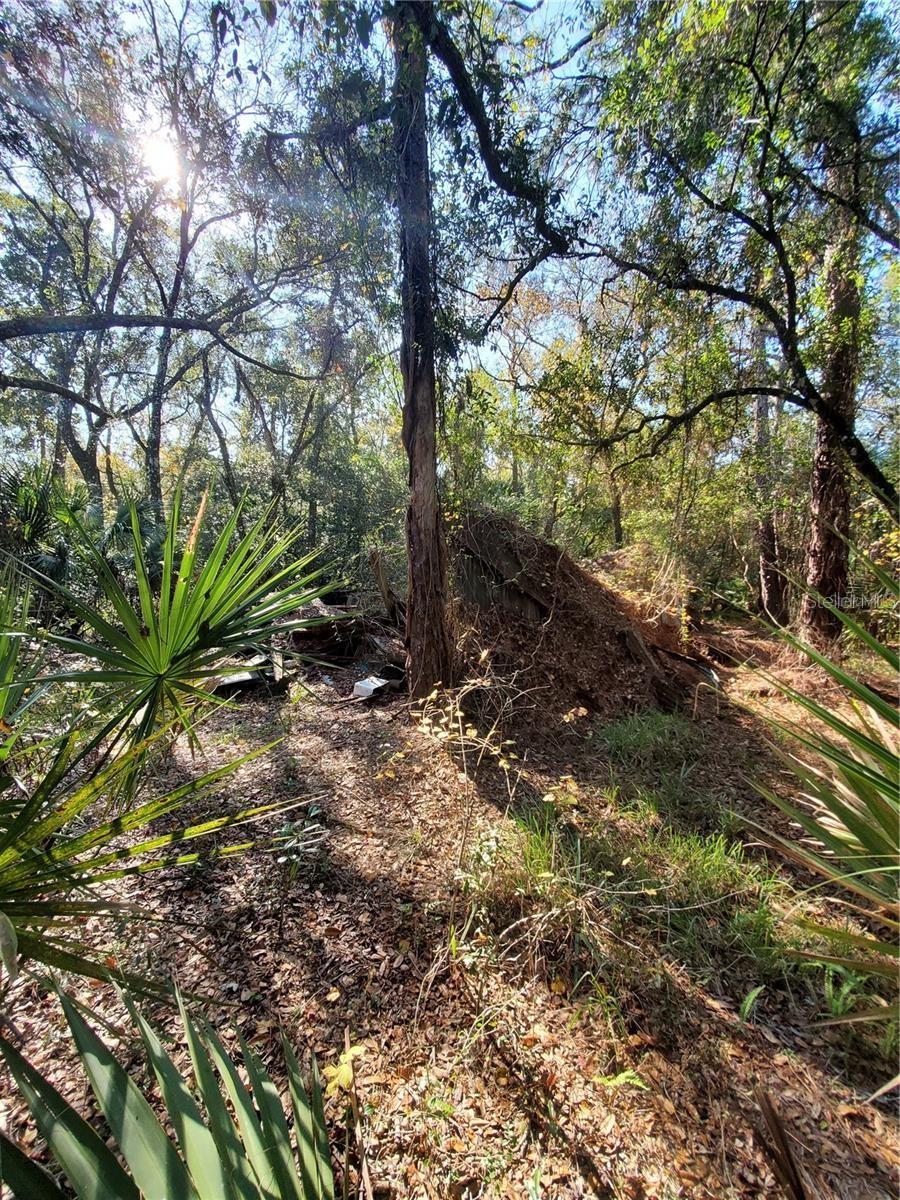 8738 Lindy Ln Property Photo 11