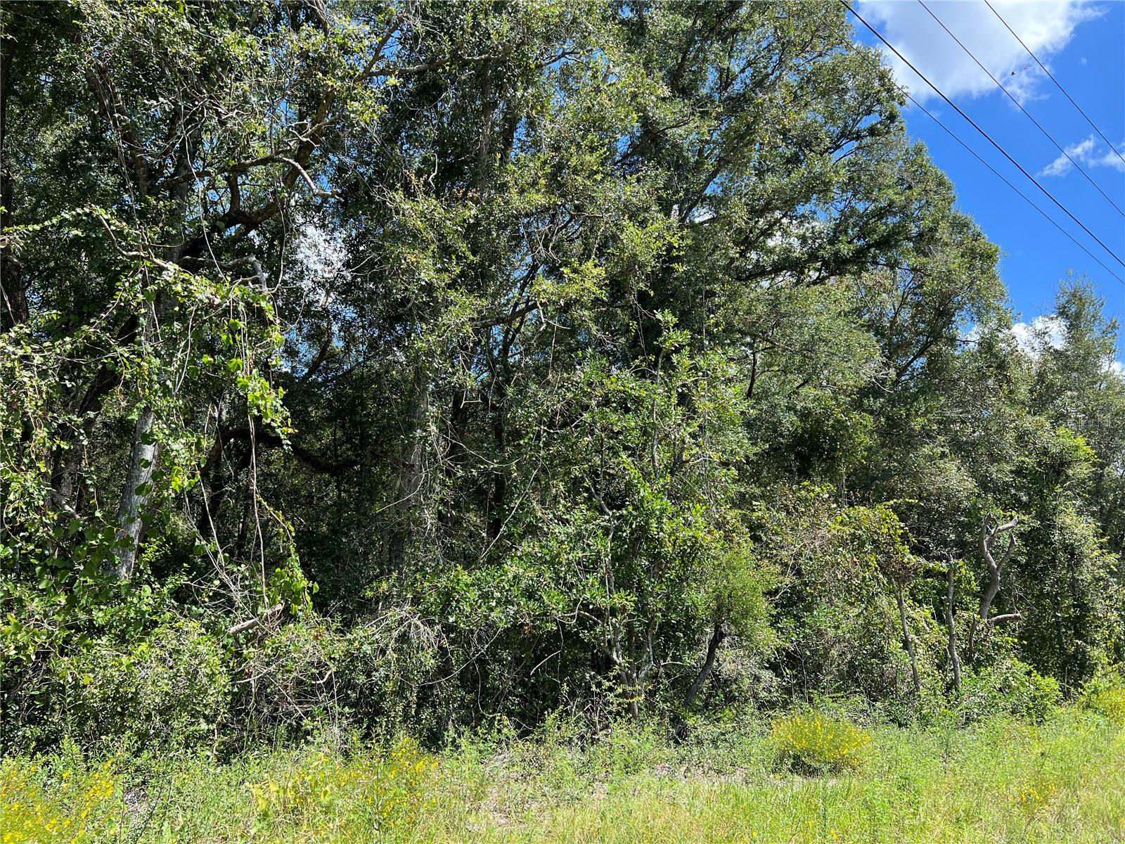 Nw Us 19 Hwy Property Photo