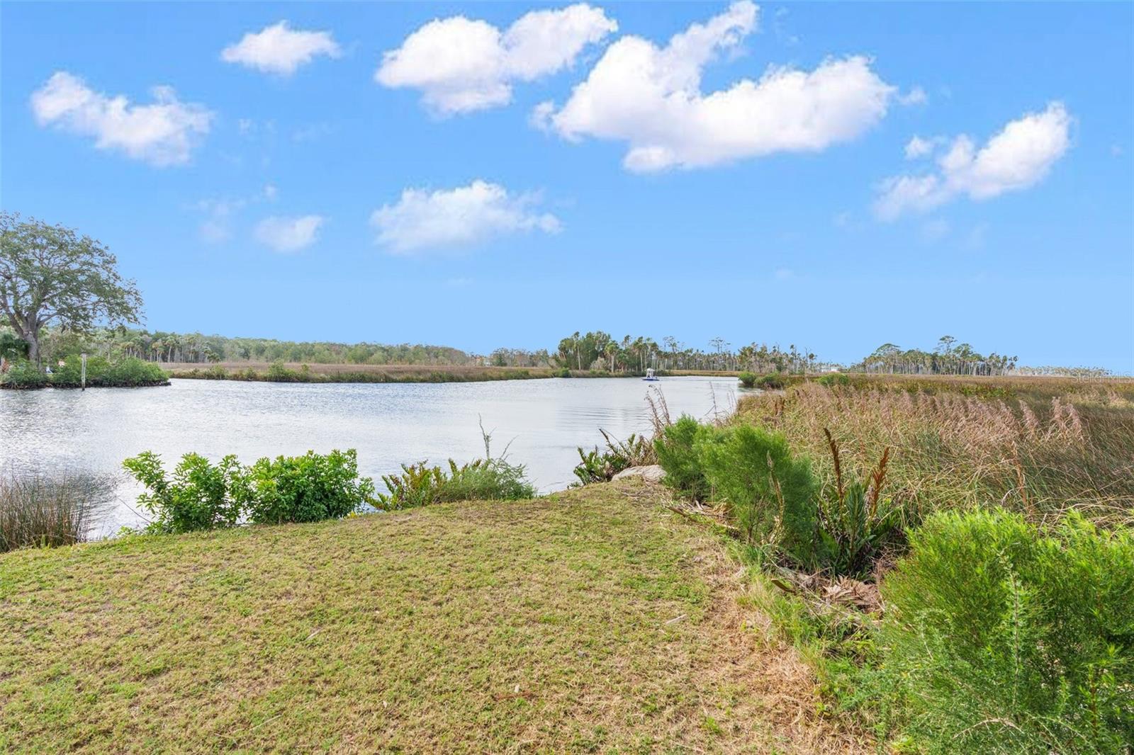 8064 Marys Fish Camp Rd Property Photo 10
