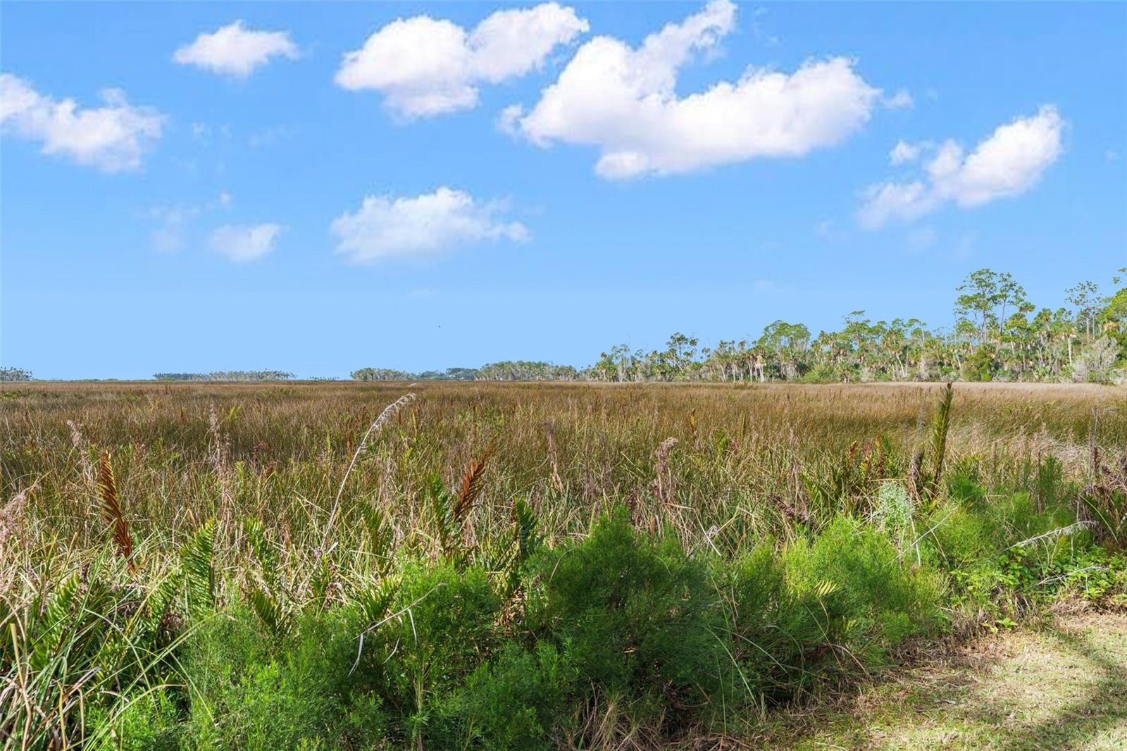 8064 Marys Fish Camp Rd Property Photo 49