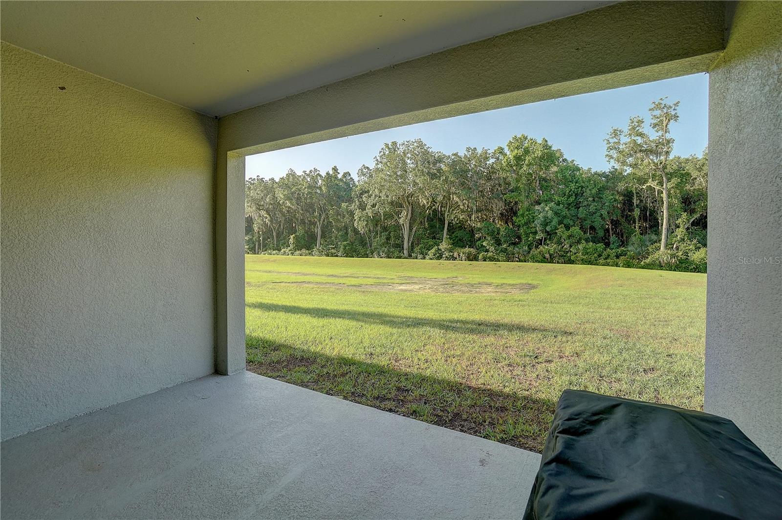 20029 Royal Tern Ct Property Photo 27