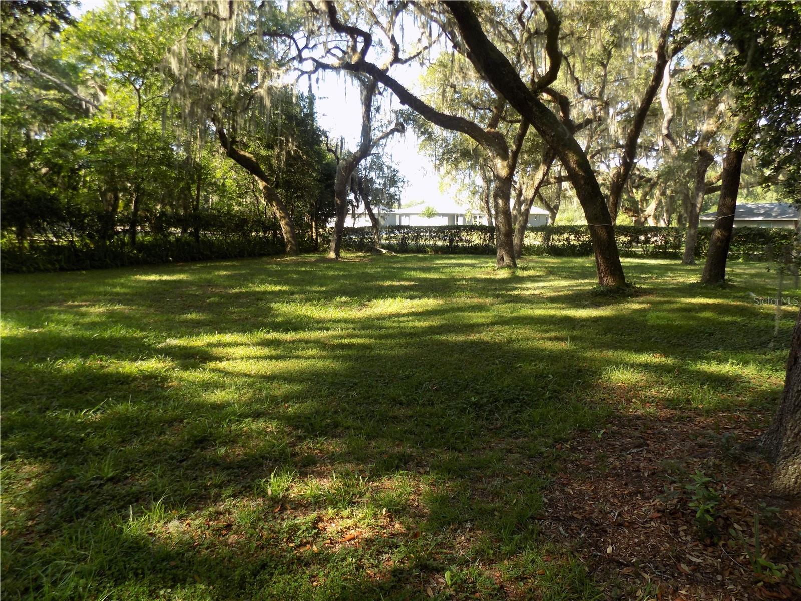 34582 Orchid Pkwy Property Photo 3