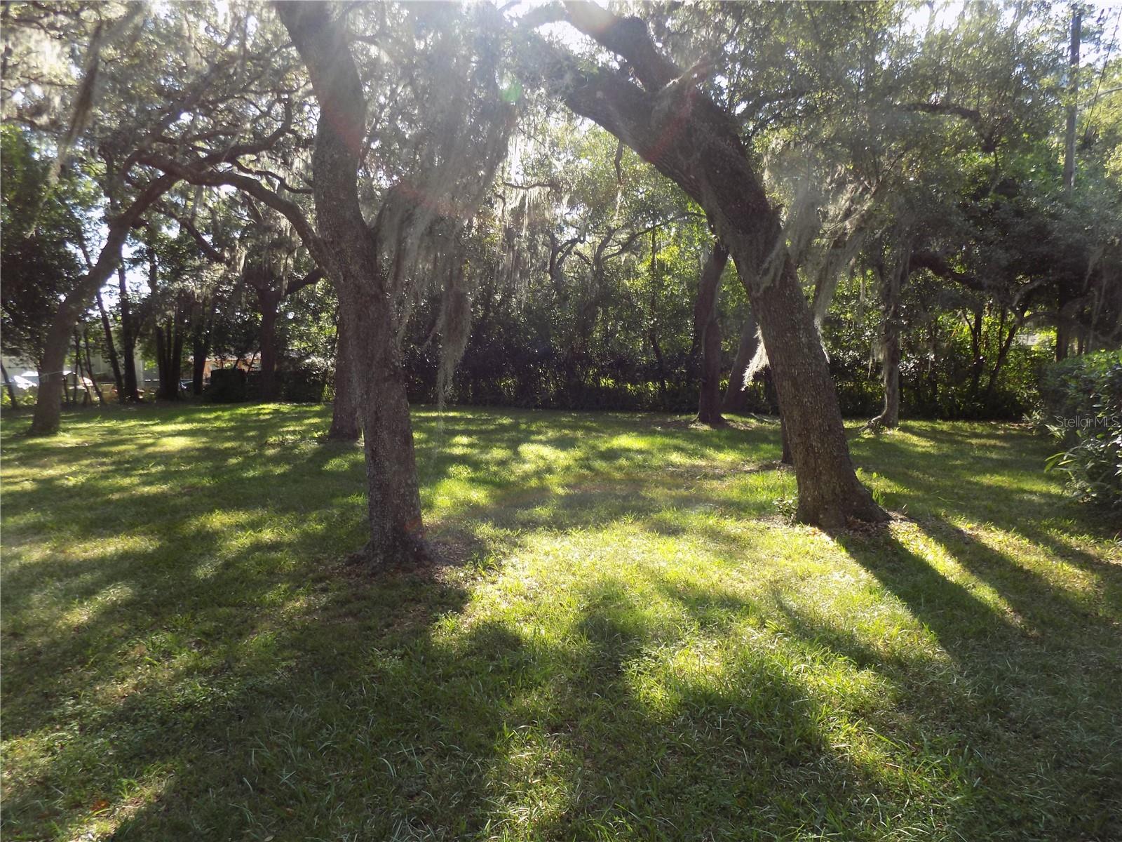 34582 Orchid Pkwy Property Photo 4