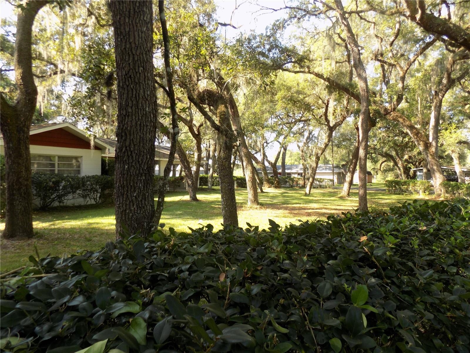 34582 Orchid Pkwy Property Photo 6