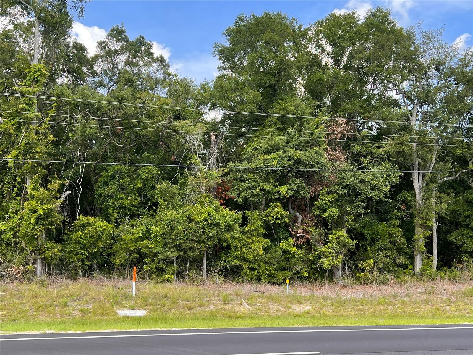 Us 19 Property Photo
