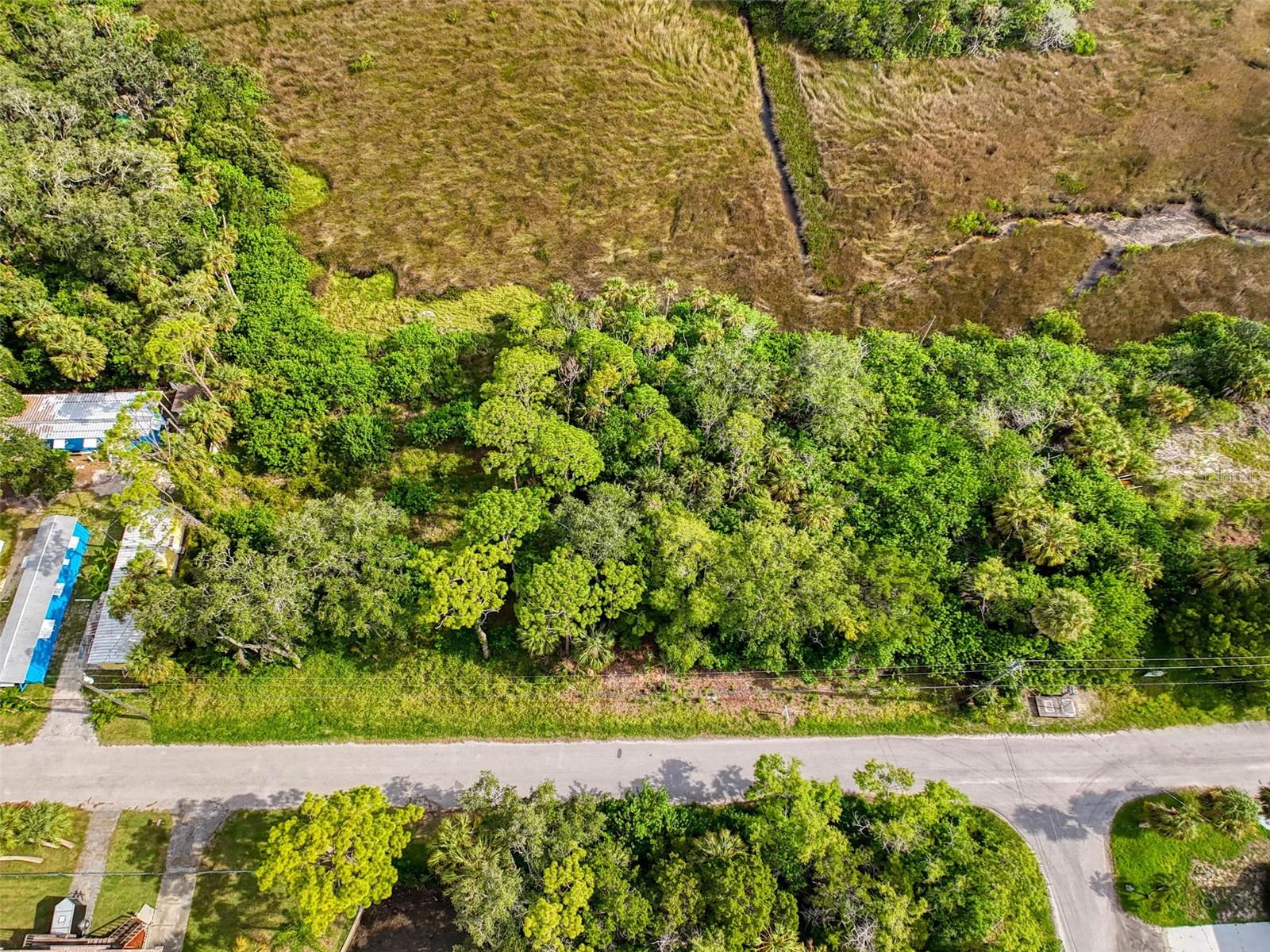 Lot 8 Nowiki Ave Property Photo 7