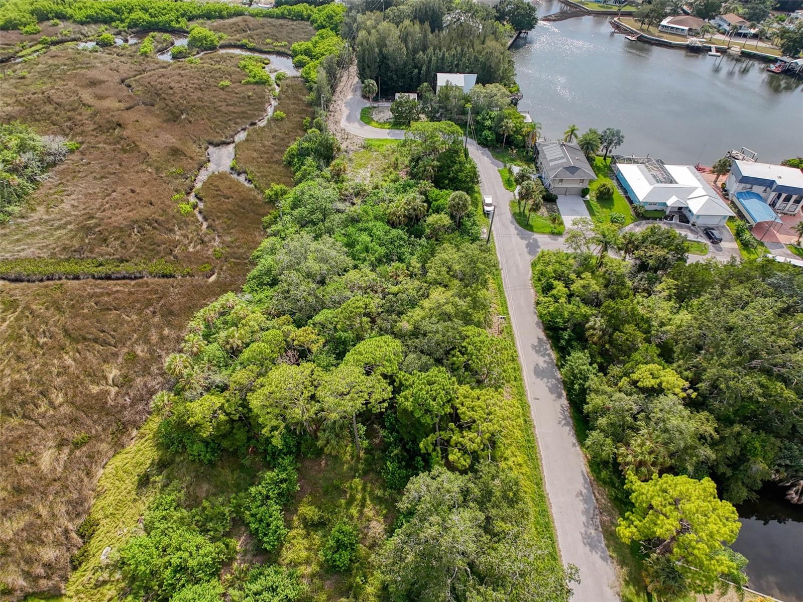 Lot 8 Nowiki Ave Property Photo 11
