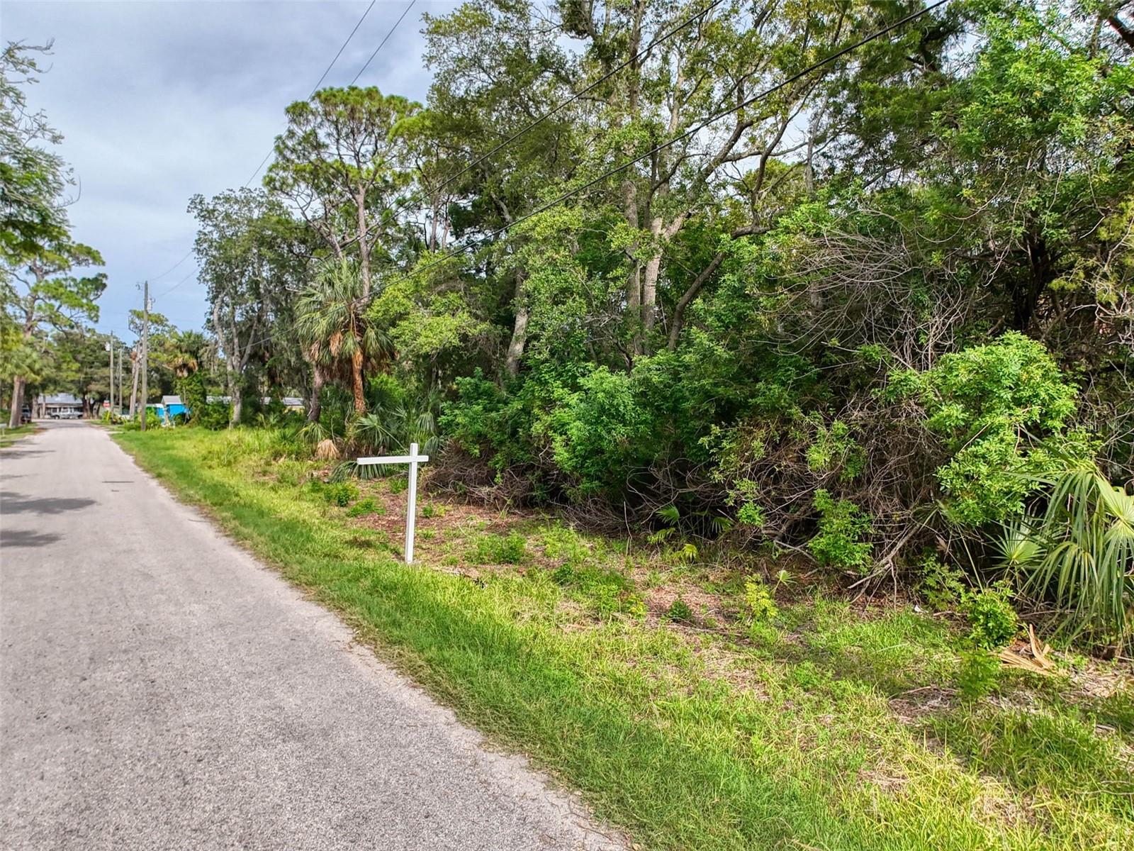 Lot 8 Nowiki Ave Property Photo 12