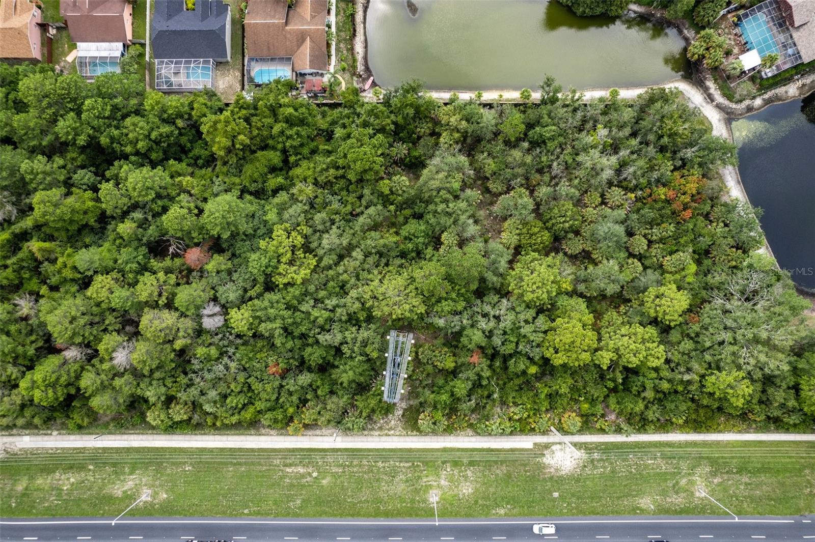 00 Us Hwy 19 Property Photo 22