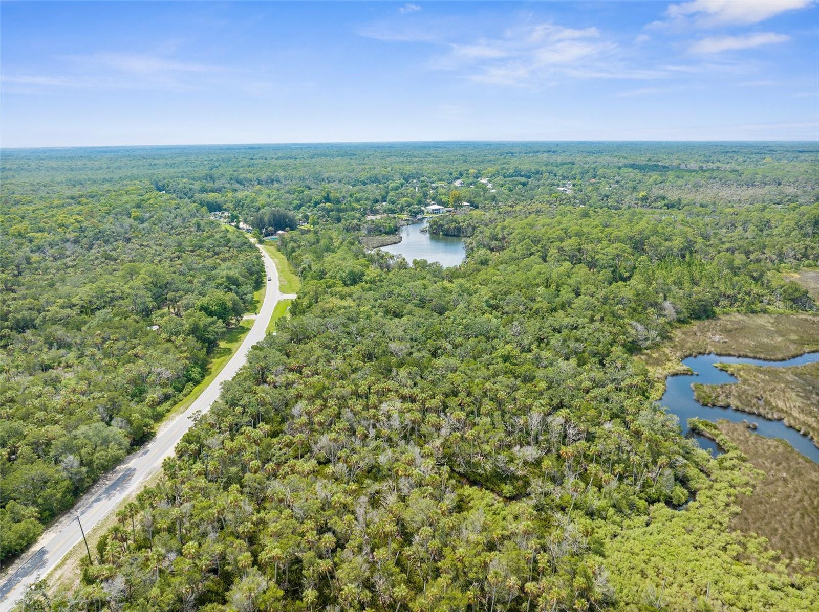 0 Marys Fish Camp Rd Property Photo 8