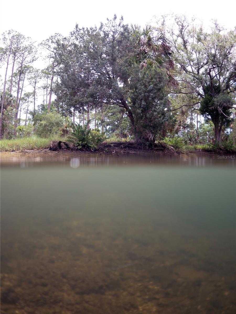 0 Marys Fish Camp Rd Property Photo 15