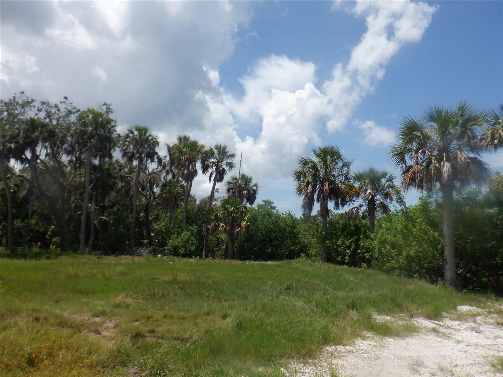 5350 Koons Dr Property Photo 6