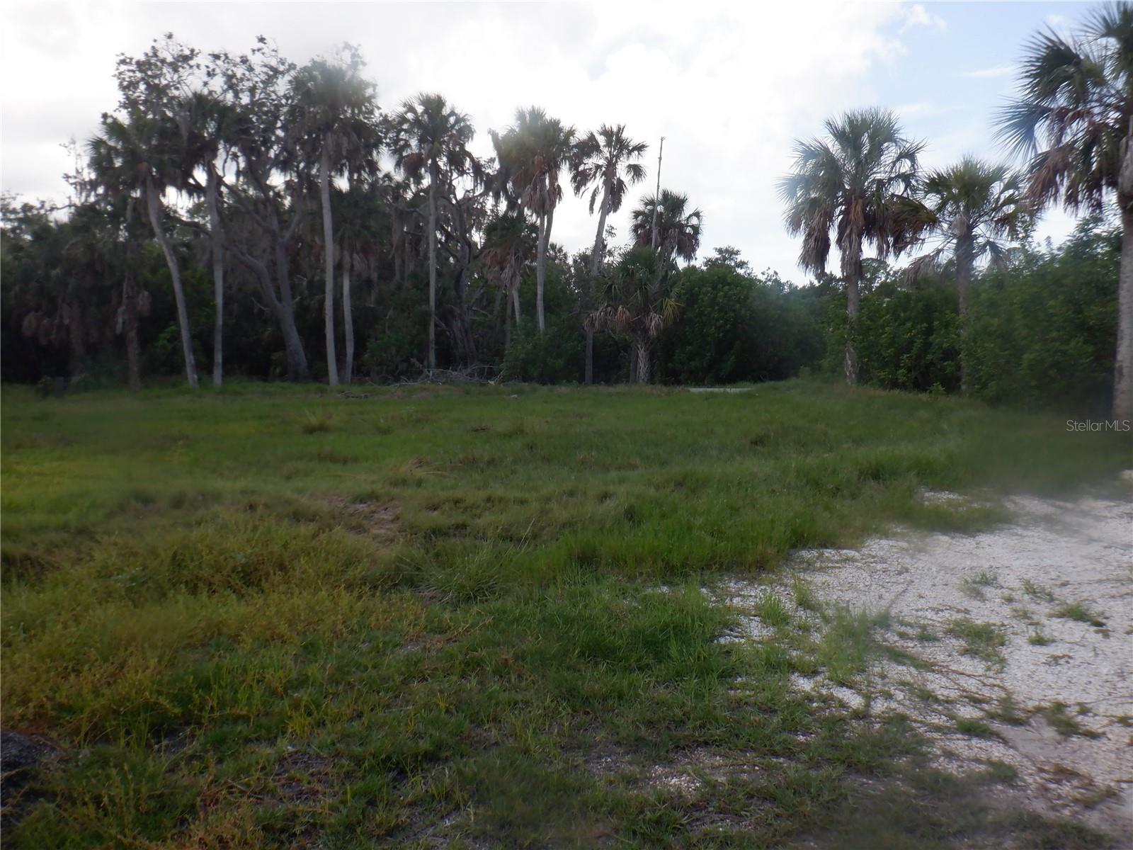 5350 Koons Dr Property Photo 11